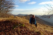 CASTEL REGINA (1424 m) e PIZZO CERRO ( 1285 m) ad anello da Catremerio il 14 dicembre 2017 - FOTOGALLERY